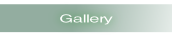 Gallery.